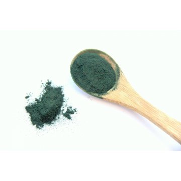 Chlorella, właściwości zdrowotne algi bogatej w chlorofil