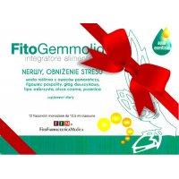 Healthy Home FFM FitoGemmoligo Aqua-Tens Nerwy Stres 150ml - suplement diety