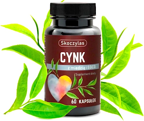 Skoczylas Cynk Miedź Zielona Herbata ekstrakt EGCG 60kaps vege - suplement diety