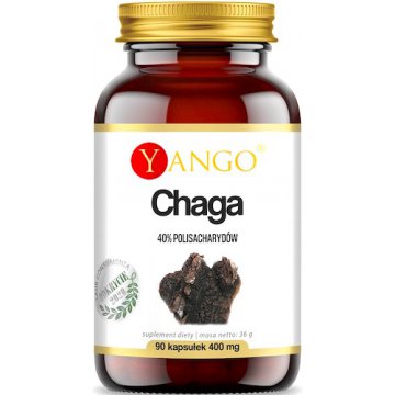 YANGO CHAGA Ekstrakt z Grzyba 440mg 90kaps 10% Polisacharydów - suplement diety